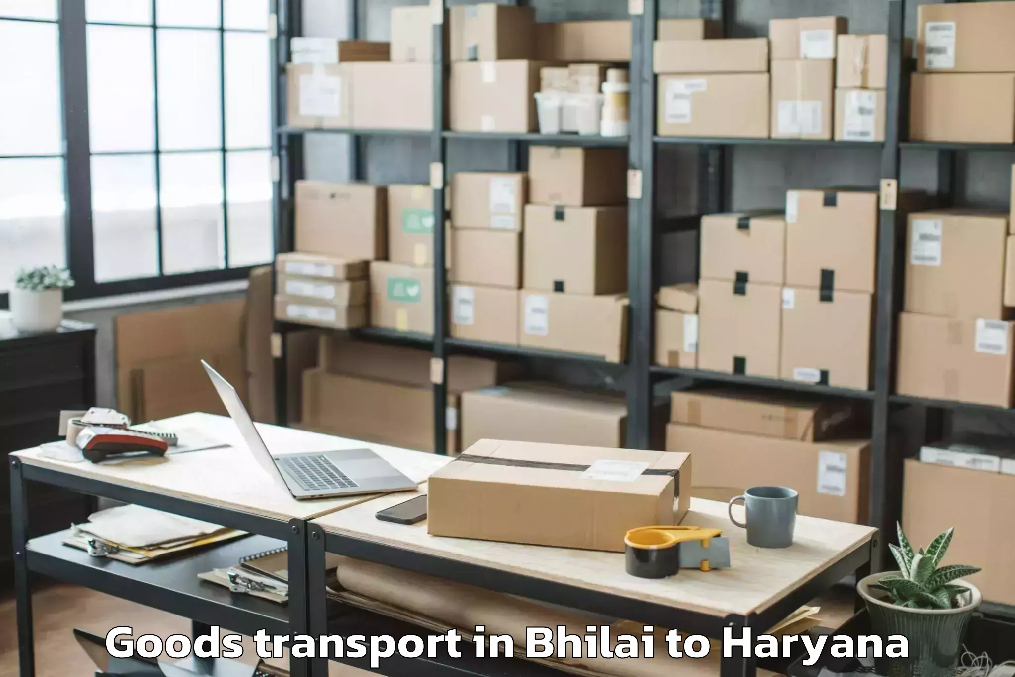 Leading Bhilai to Lingayas University Faridabad Goods Transport Provider